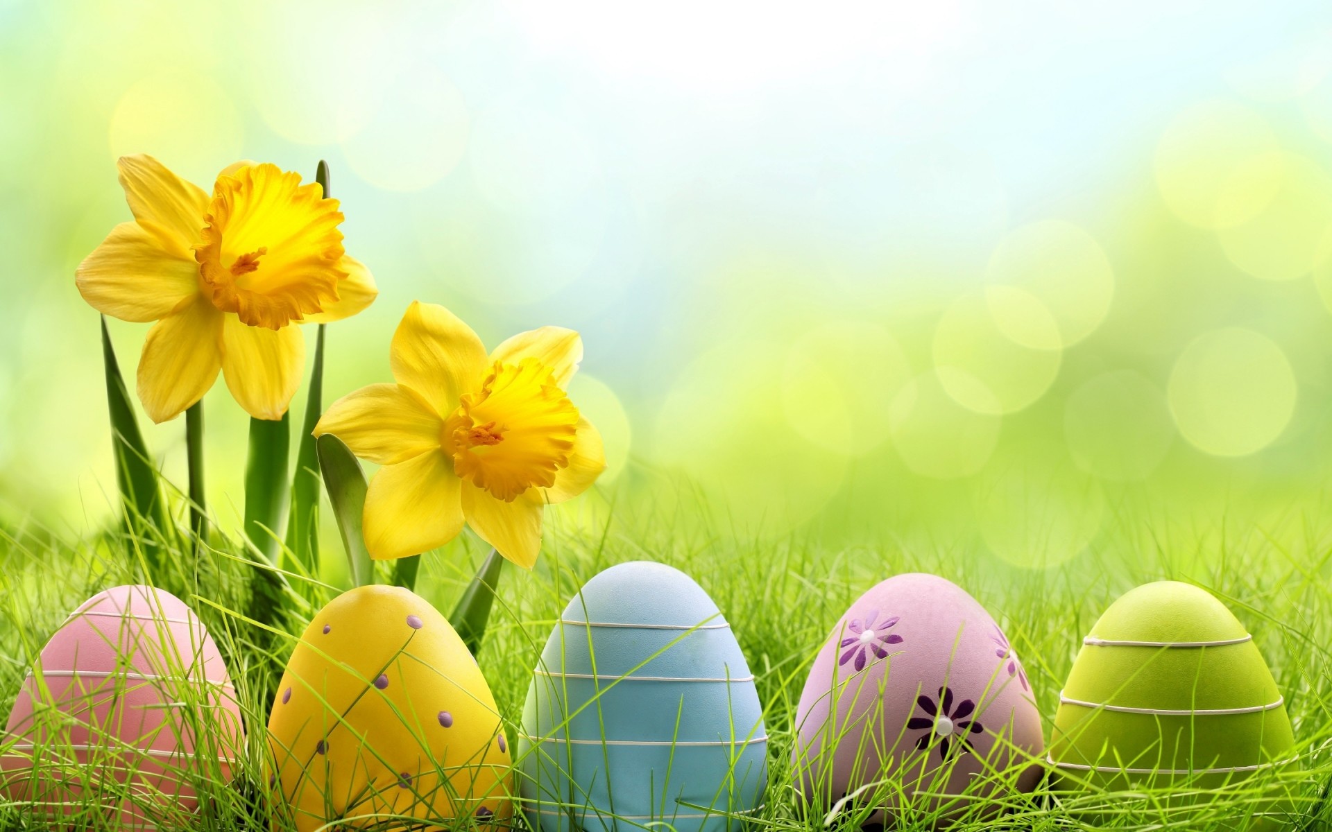 Wallpaper HD Cute Easter Eggs – HD Wallpaper Expert
