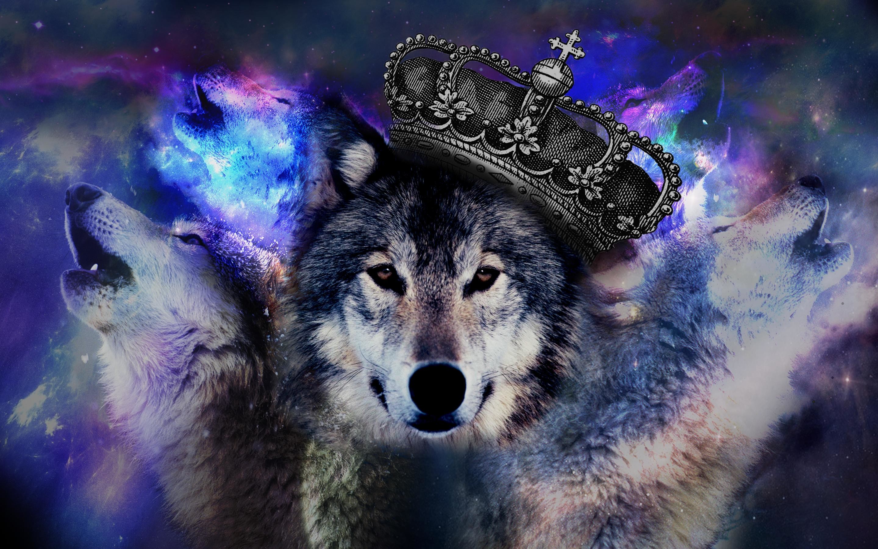 Pix For > Psychedelic Wolf Wallpaper