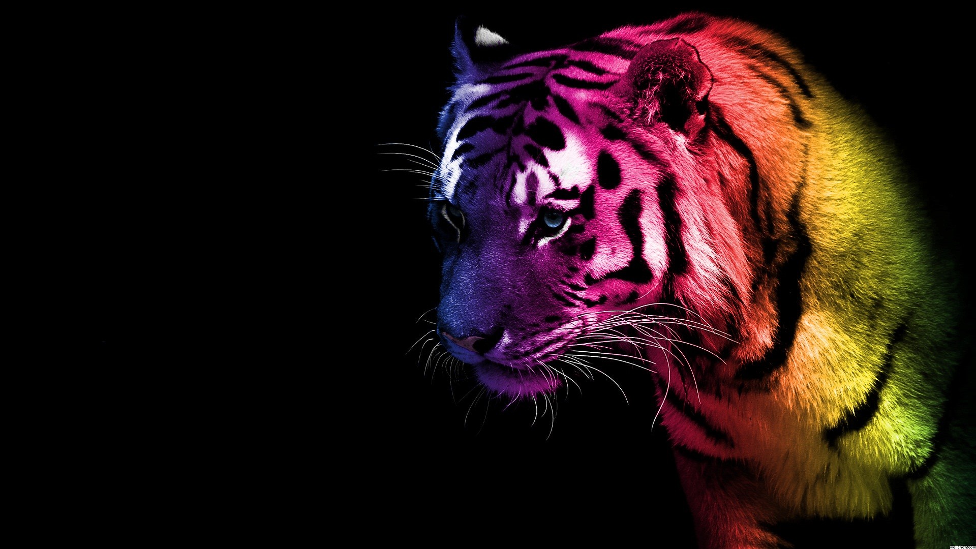 Search Results for “rainbow tiger wallpaper” – Adorable Wallpapers