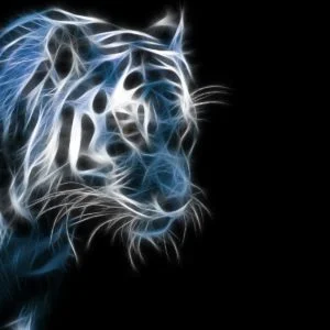 Neon Tiger