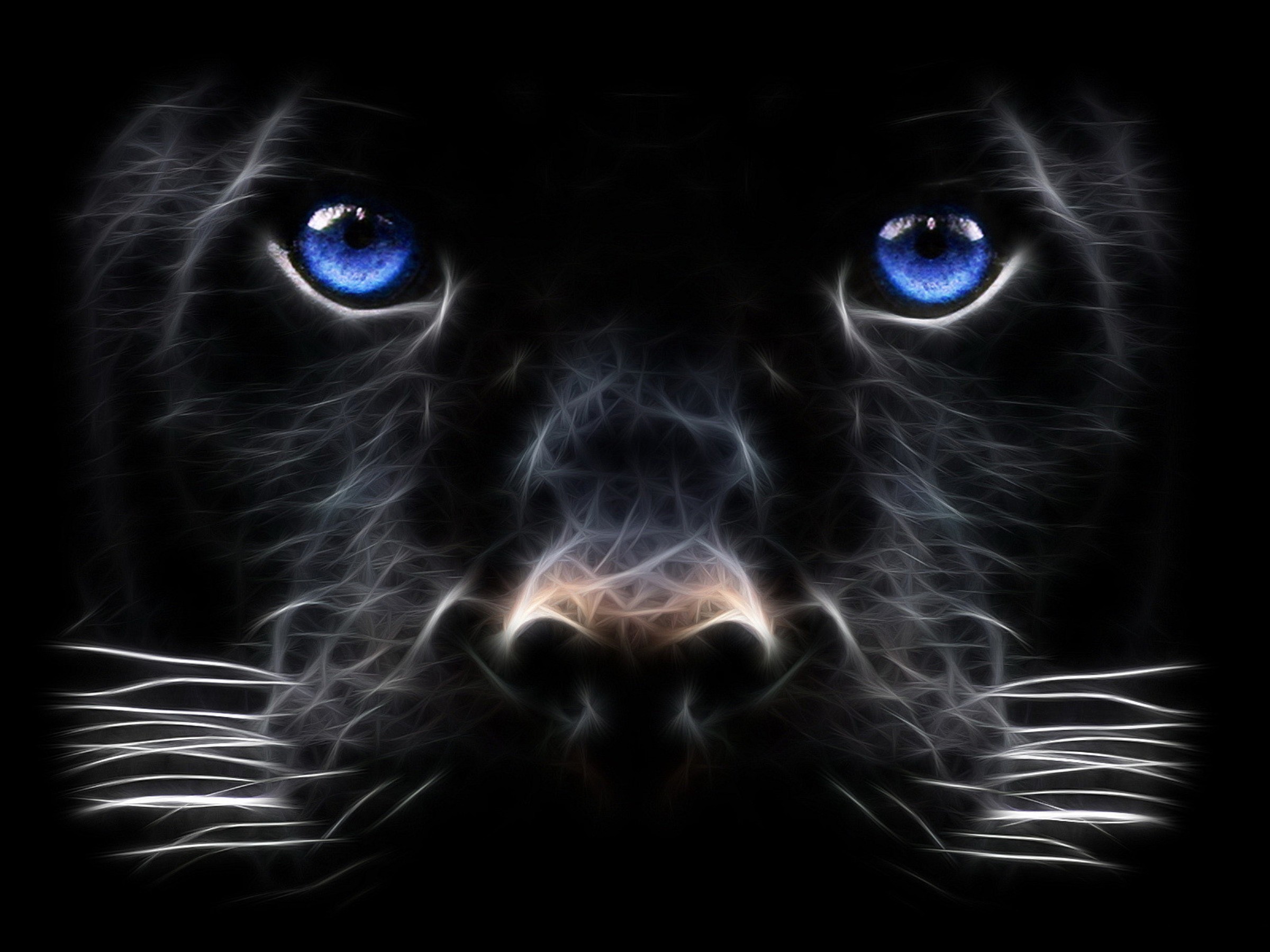 HD Wallpaper | Background ID:433886. Animal Black Panther