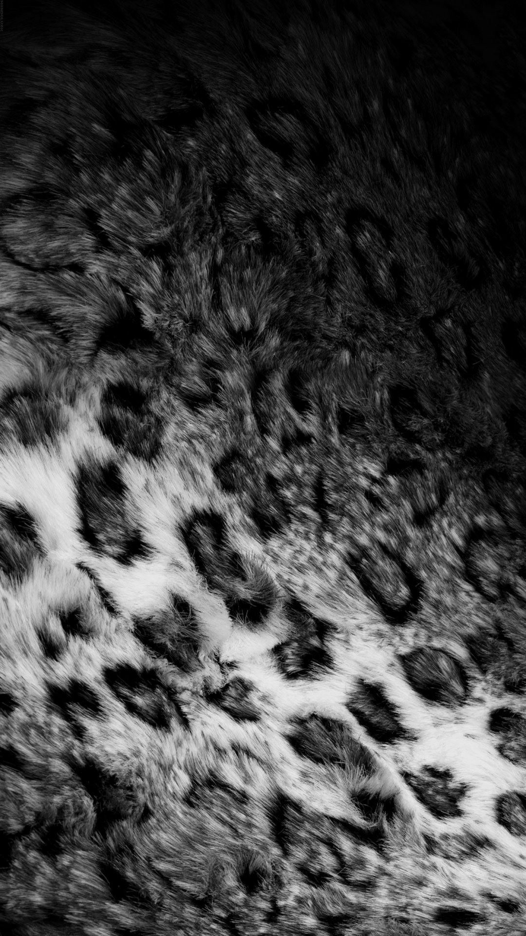 Leopard Animal Print Black White Android Wallpaper …