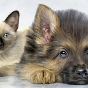 Cats Dogs Wallpaper Desktop