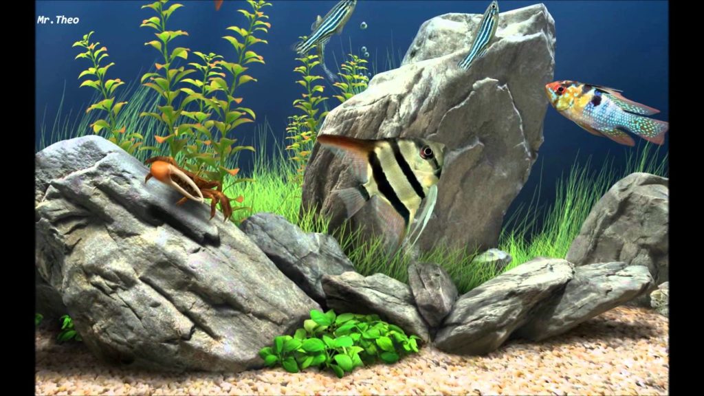 mac fish tank screensaver