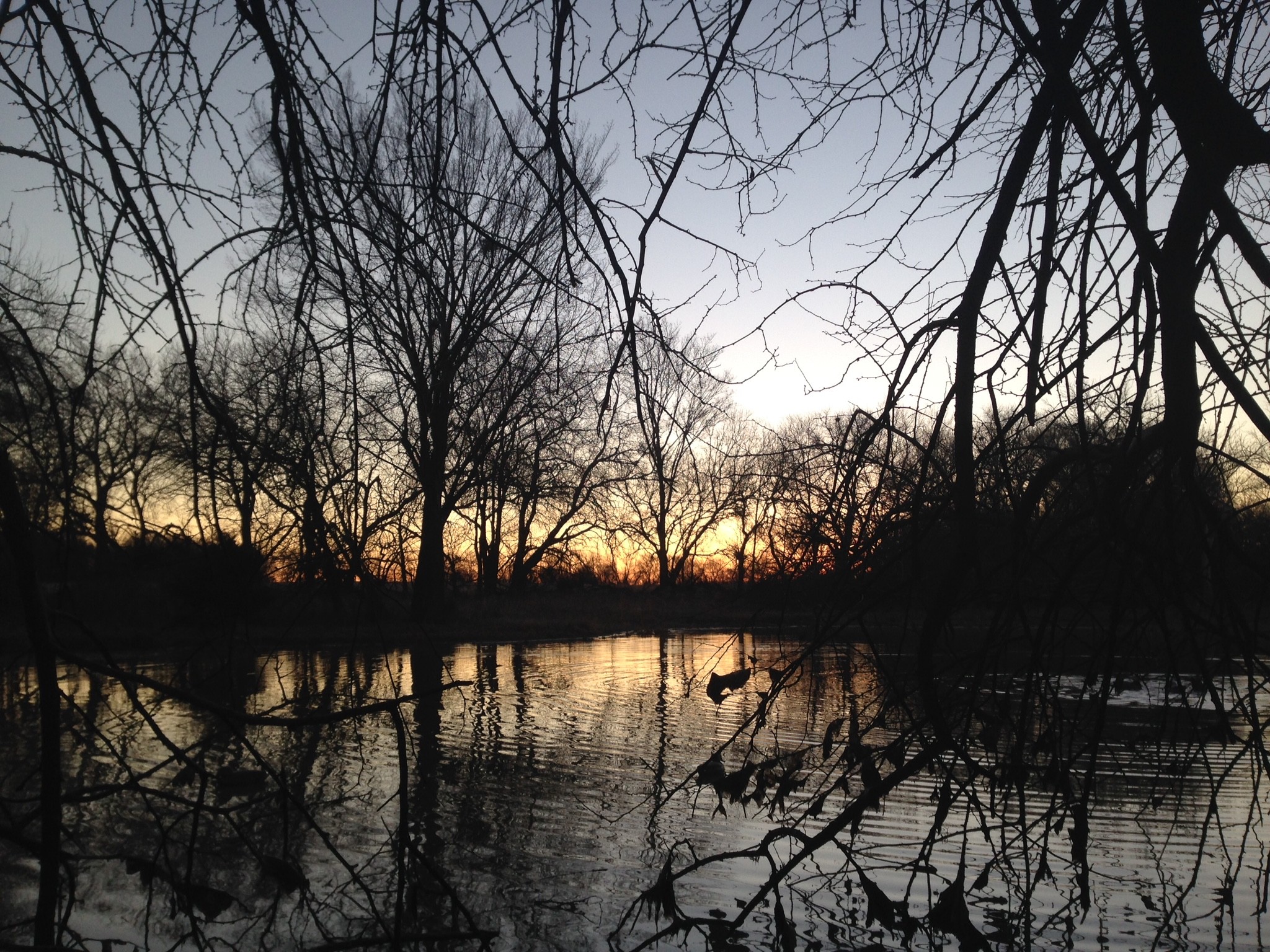 The Kansas Waterfowl Hunt II – Ducks and Ducks and Ducks and Ducks – Good  Hunt