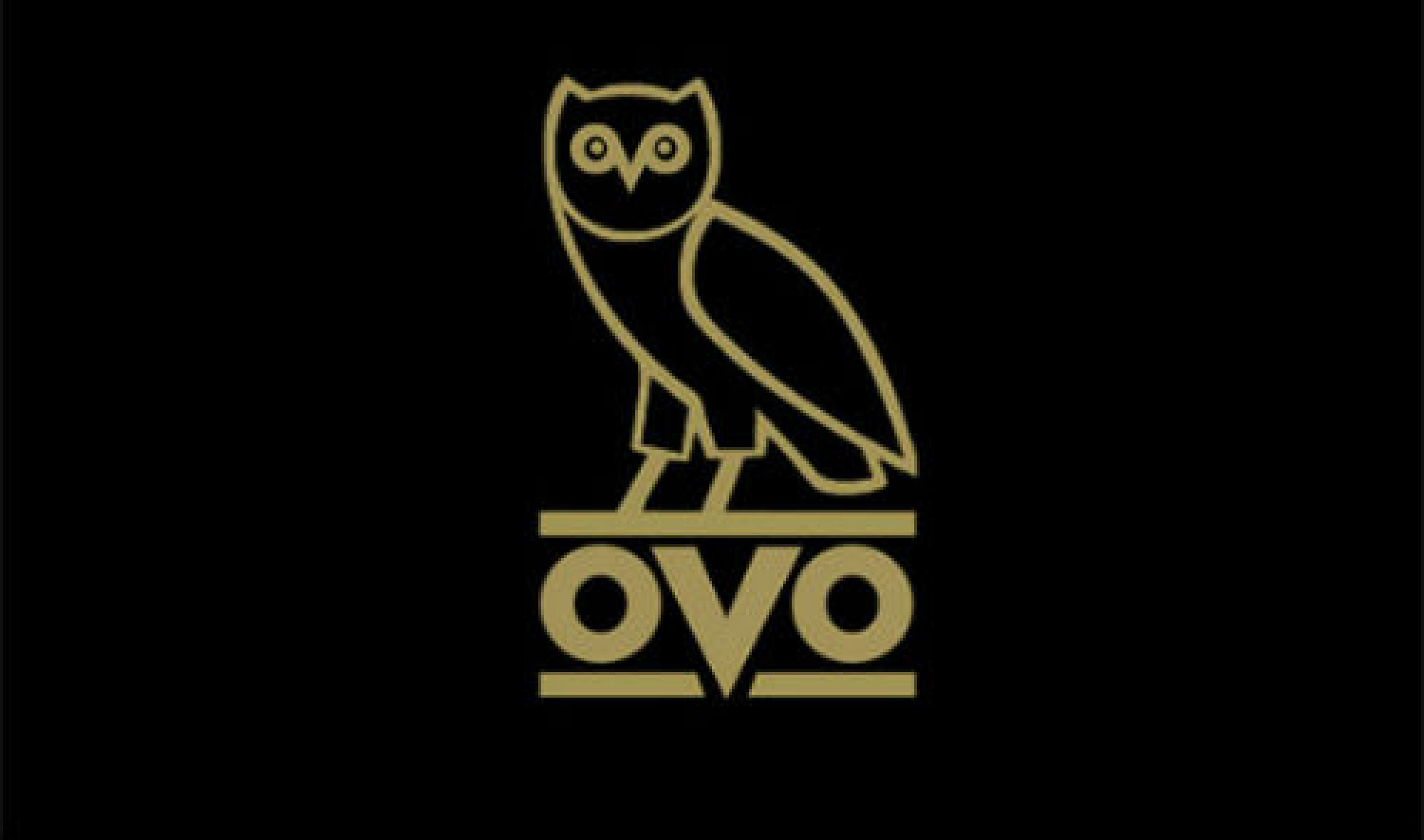 Drake Owl Wallpaper Phone