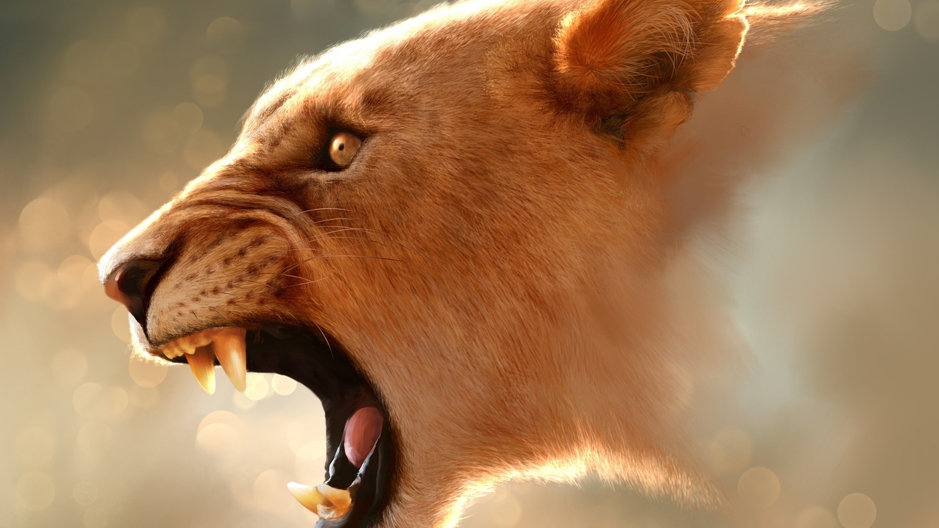 Lion Wallpapers Best