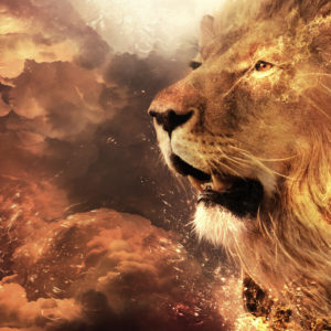Lion Face