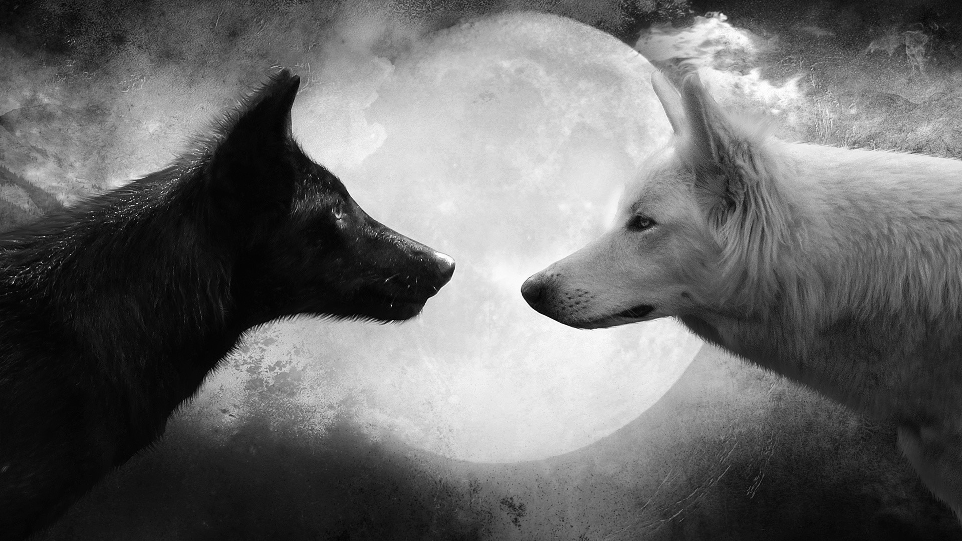 Abstract art black and white wolf wallpaper