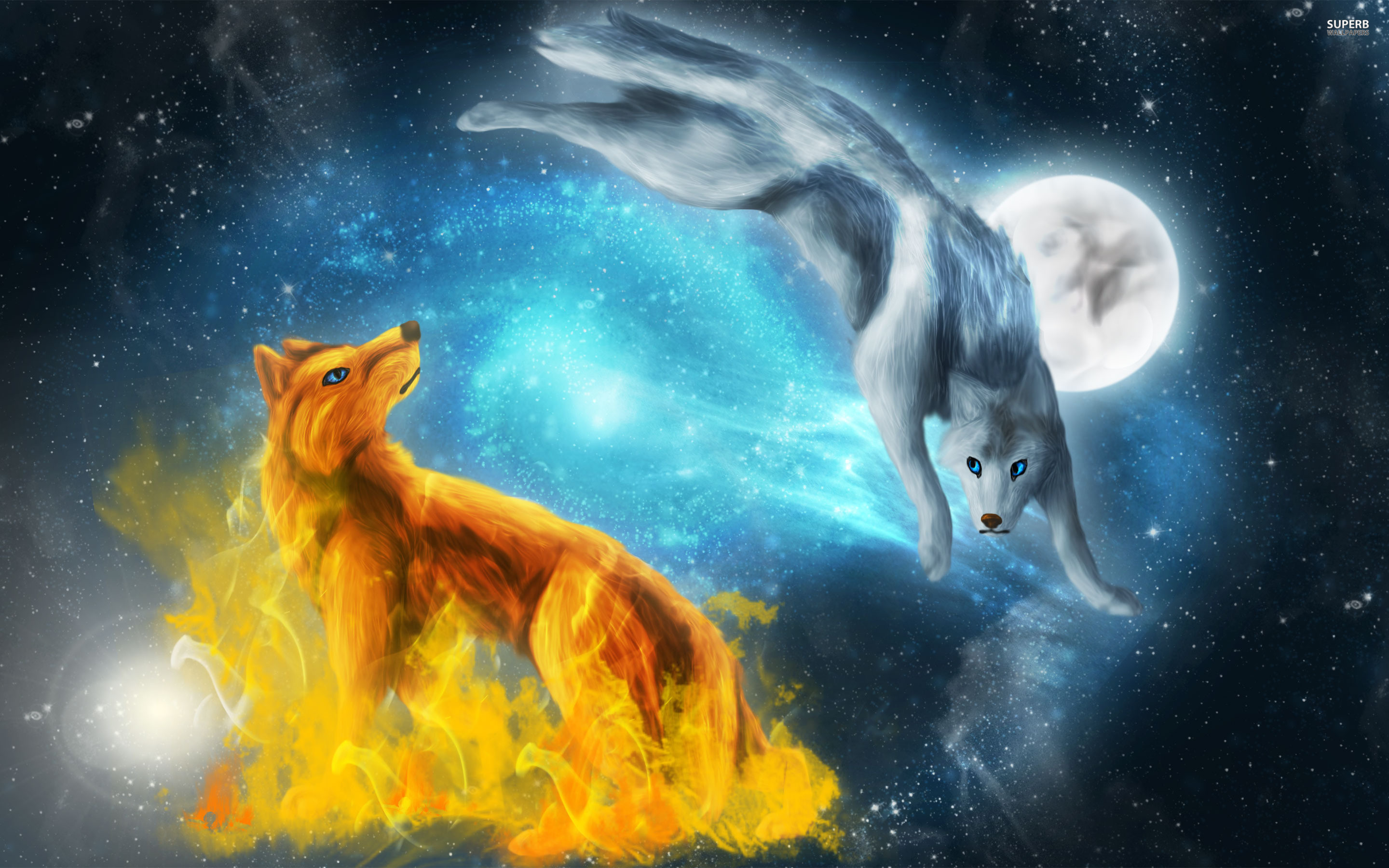 Wolf Cool Background Images