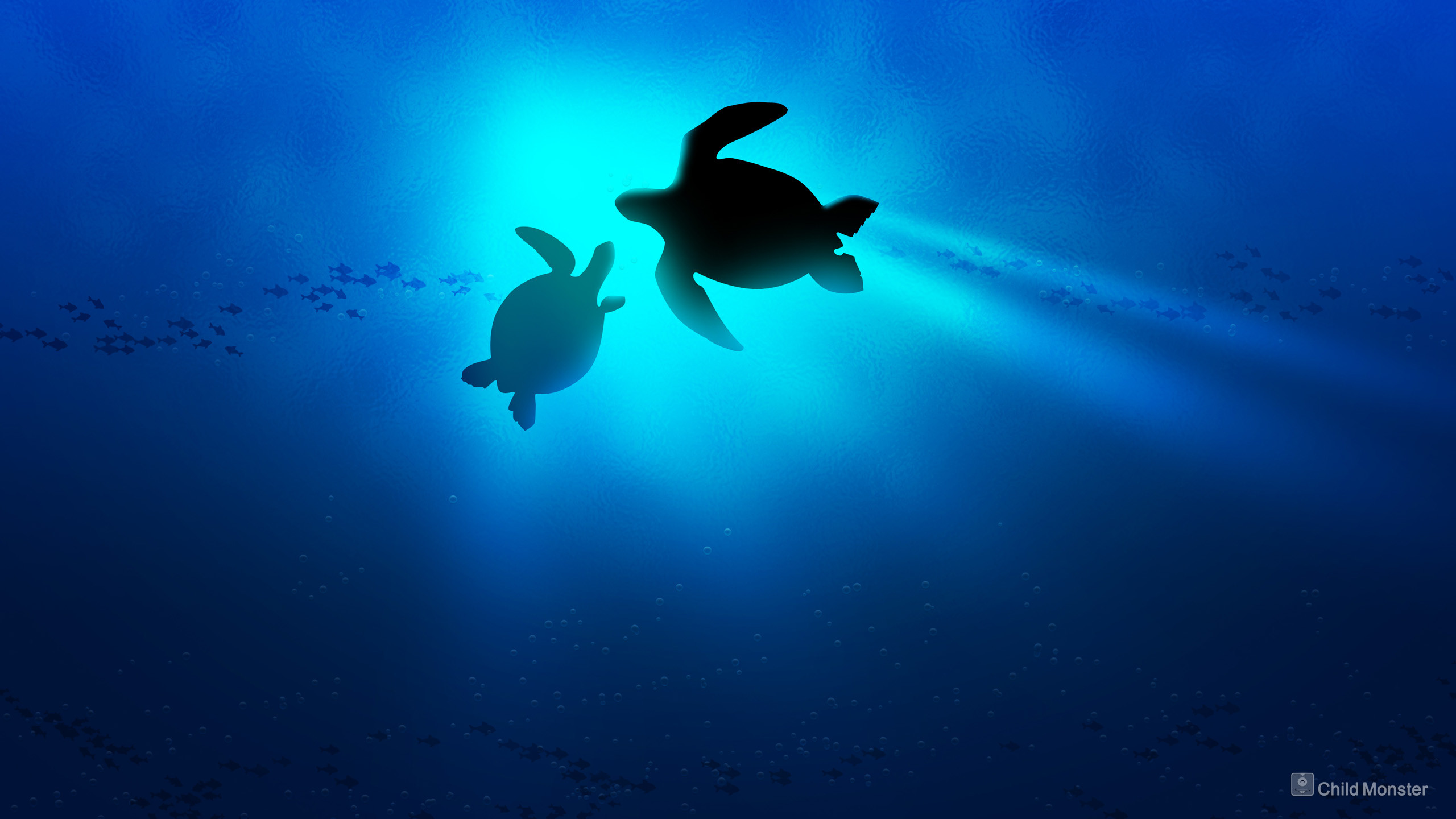 Baby Sea Turtle Wallpaper Desktop Background – Mekamak