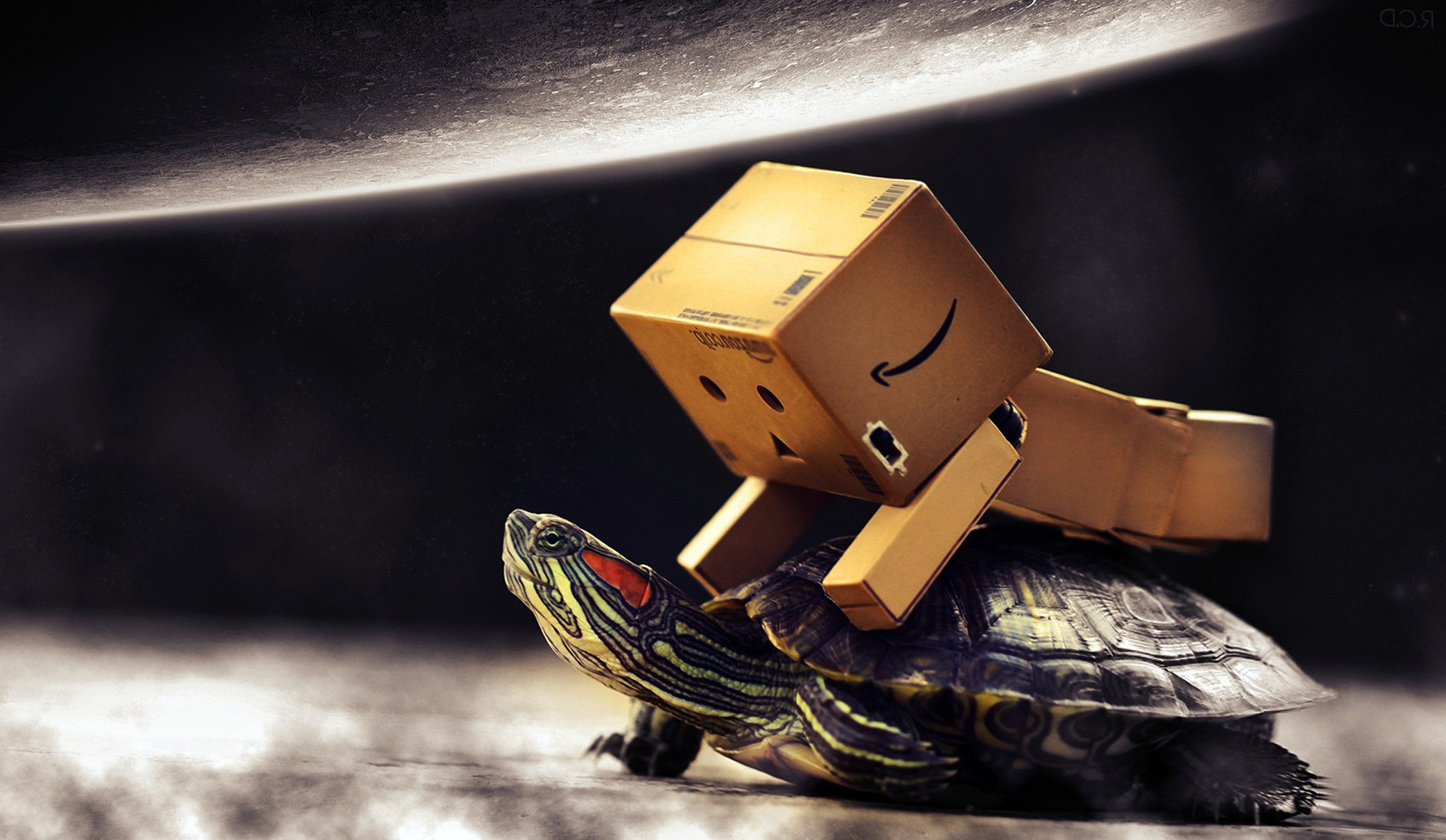 Danboard Box Man And Baby Turtle Wallpapers HD / Desktop and Mobile Backgrounds