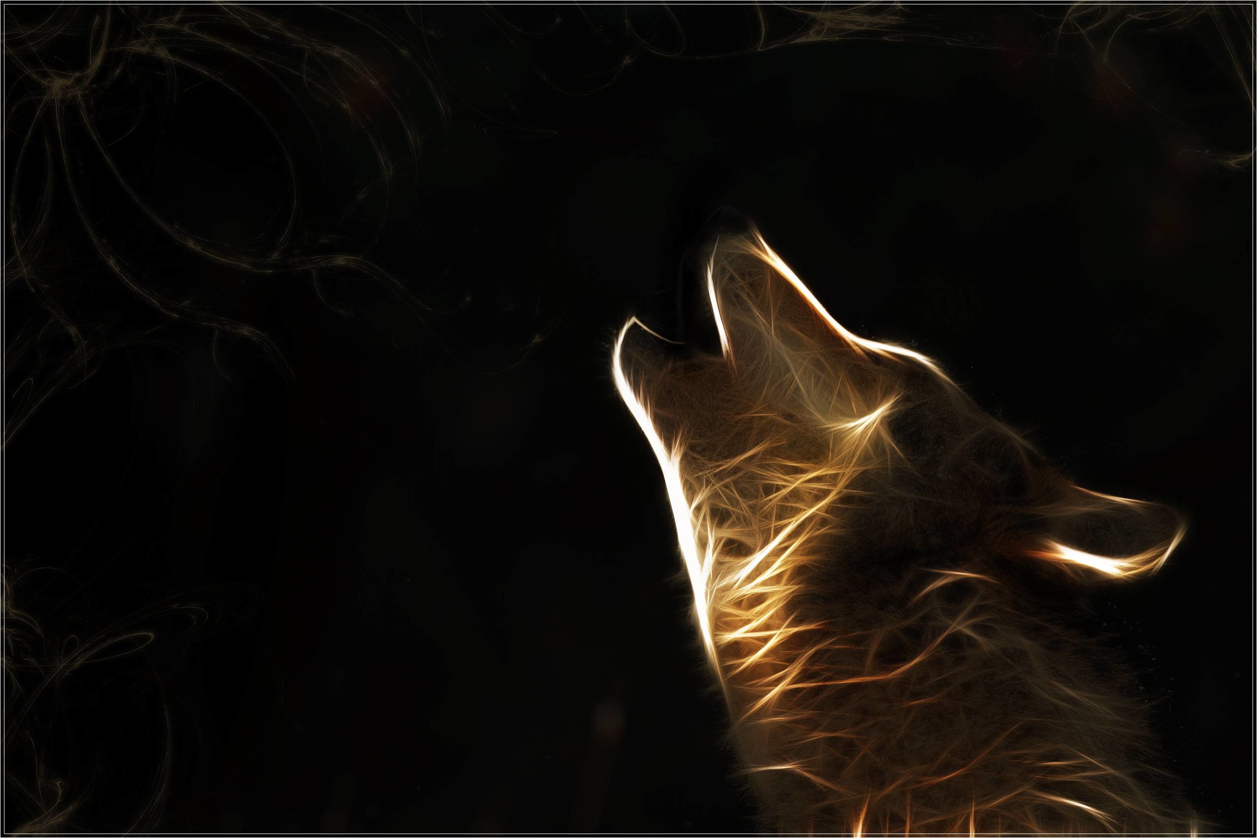 Wallpaper HD Wolf 18 16527 Wallpaper and Background .
