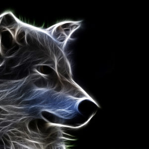 Wolves Screensavers and Wallpaper