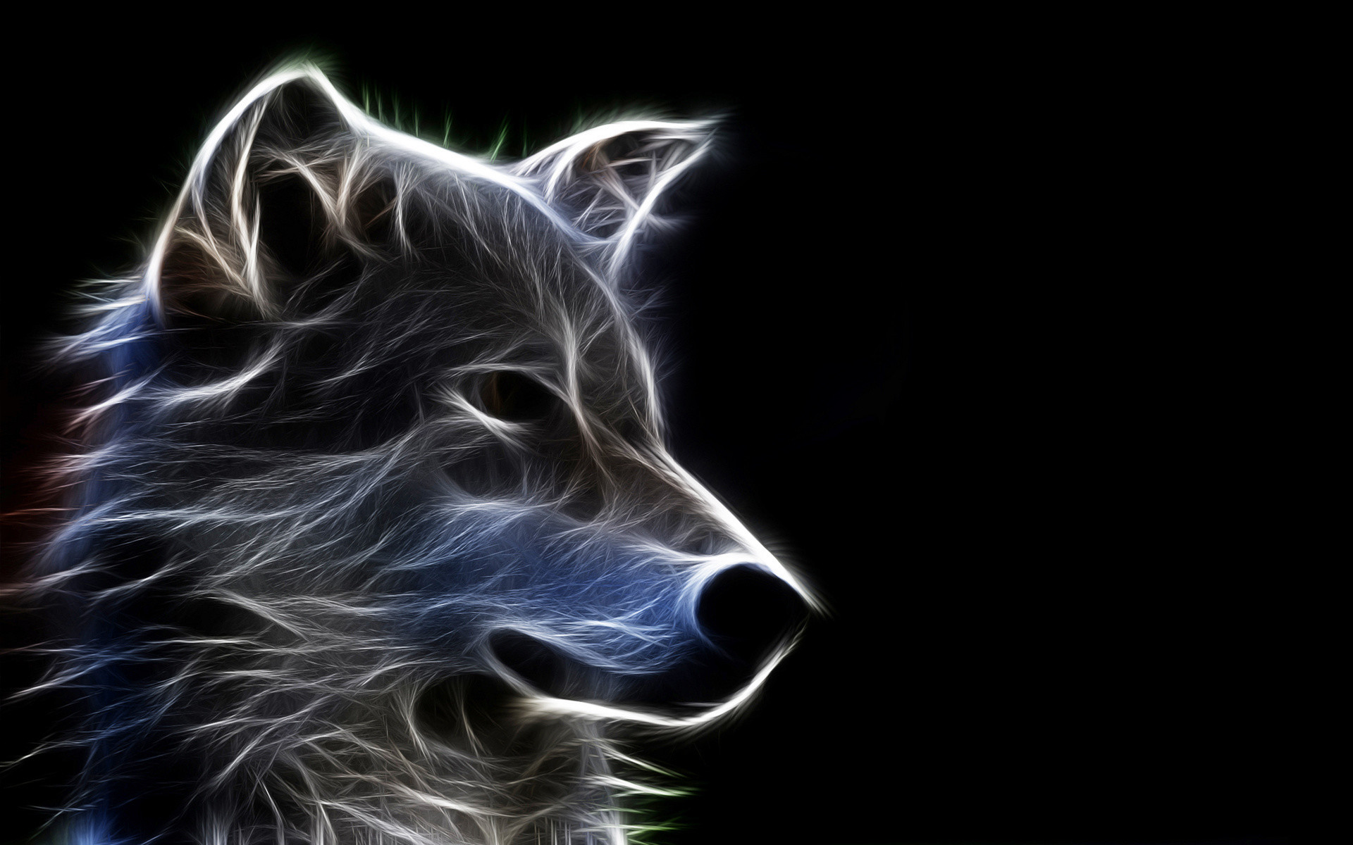 Wolf Wallpapers HD 3d