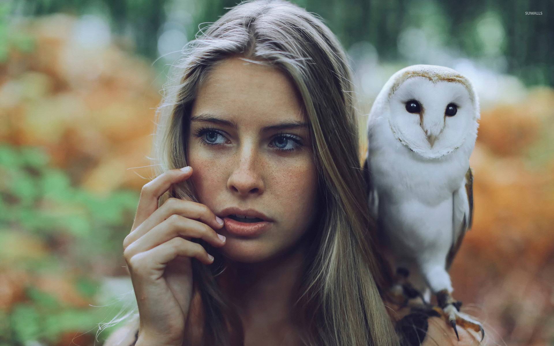 Girl with a Barn Owl on her shoulder wallpaper