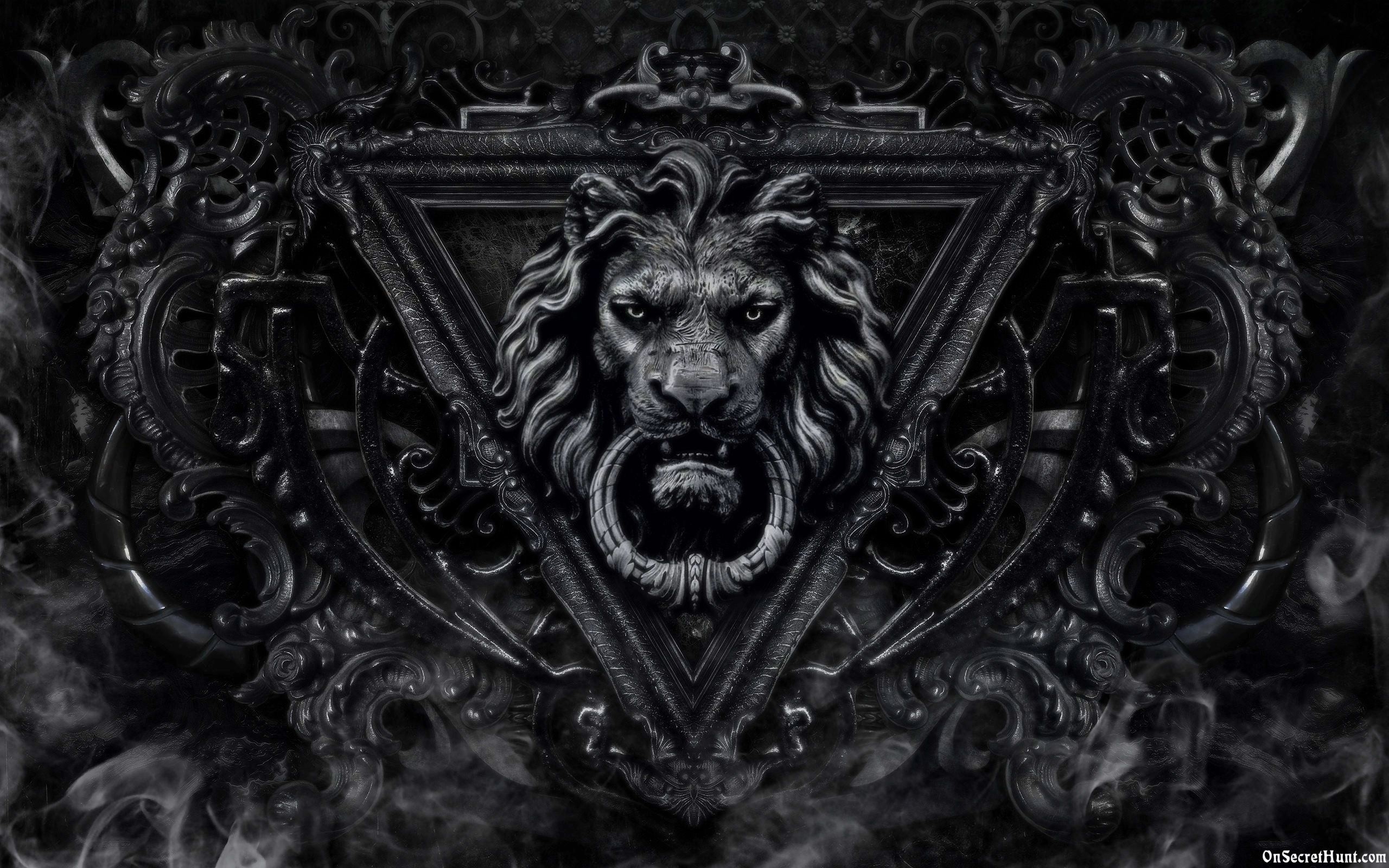 Black and white lion Wallpapers Download  MobCup