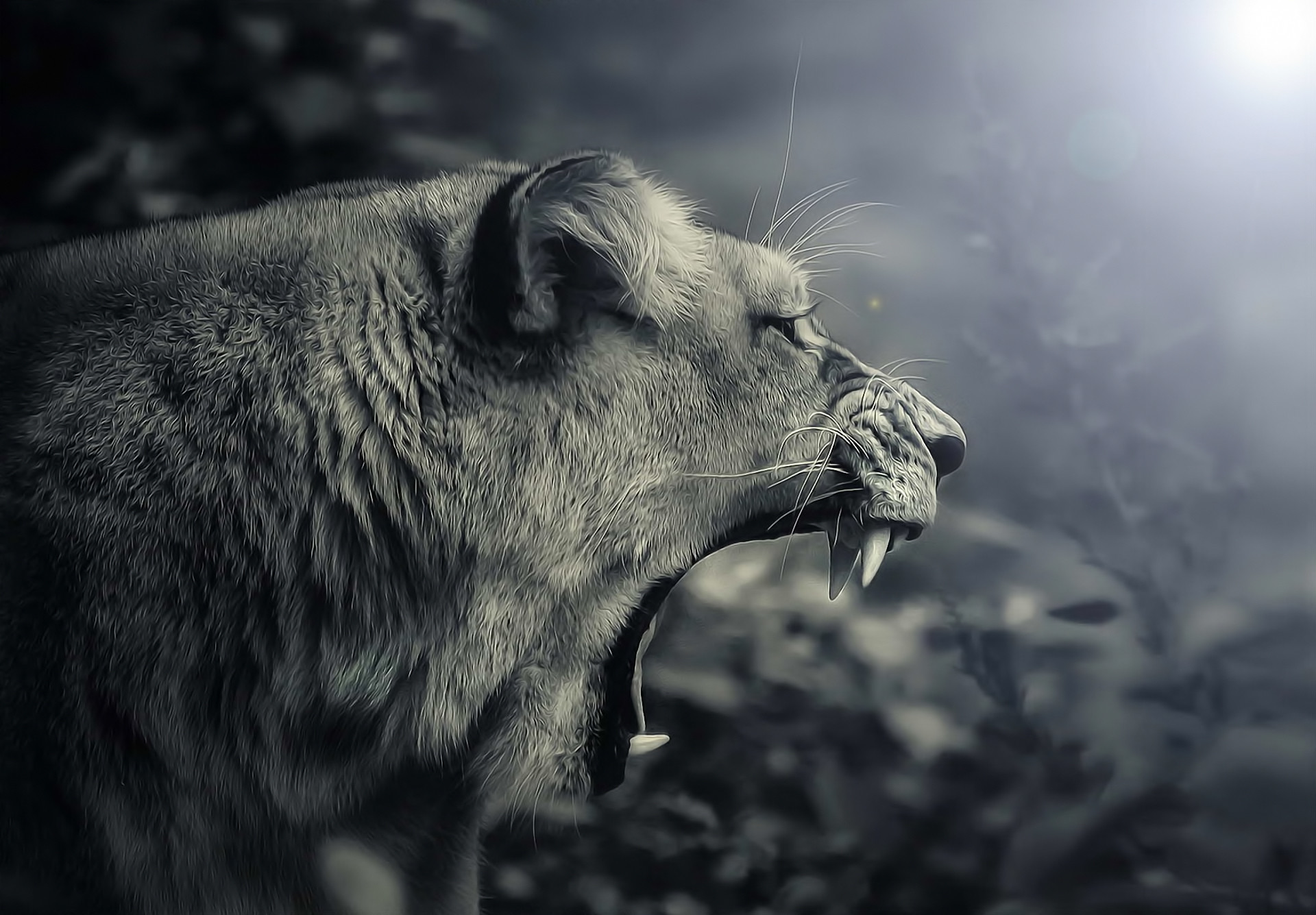Female lion roaring royalty black and white digital art