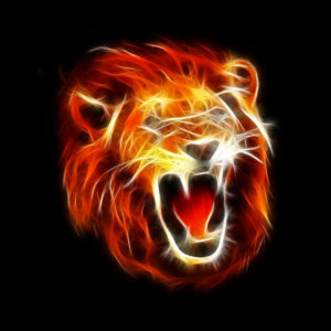 Lion Wallpaper Black and White
