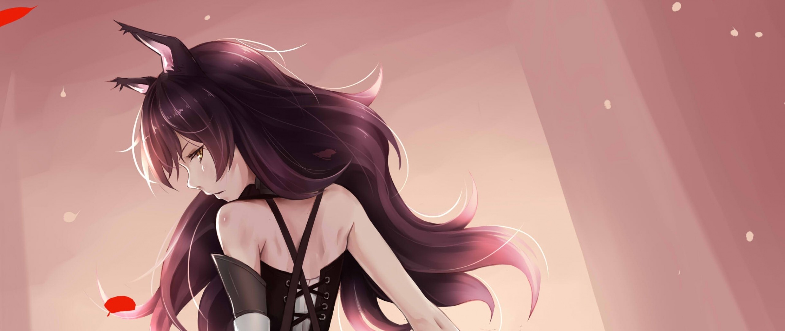 Mobile wallpaper: Anime, Rwby, Blake Belladonna, 1068840 download the  picture for free.