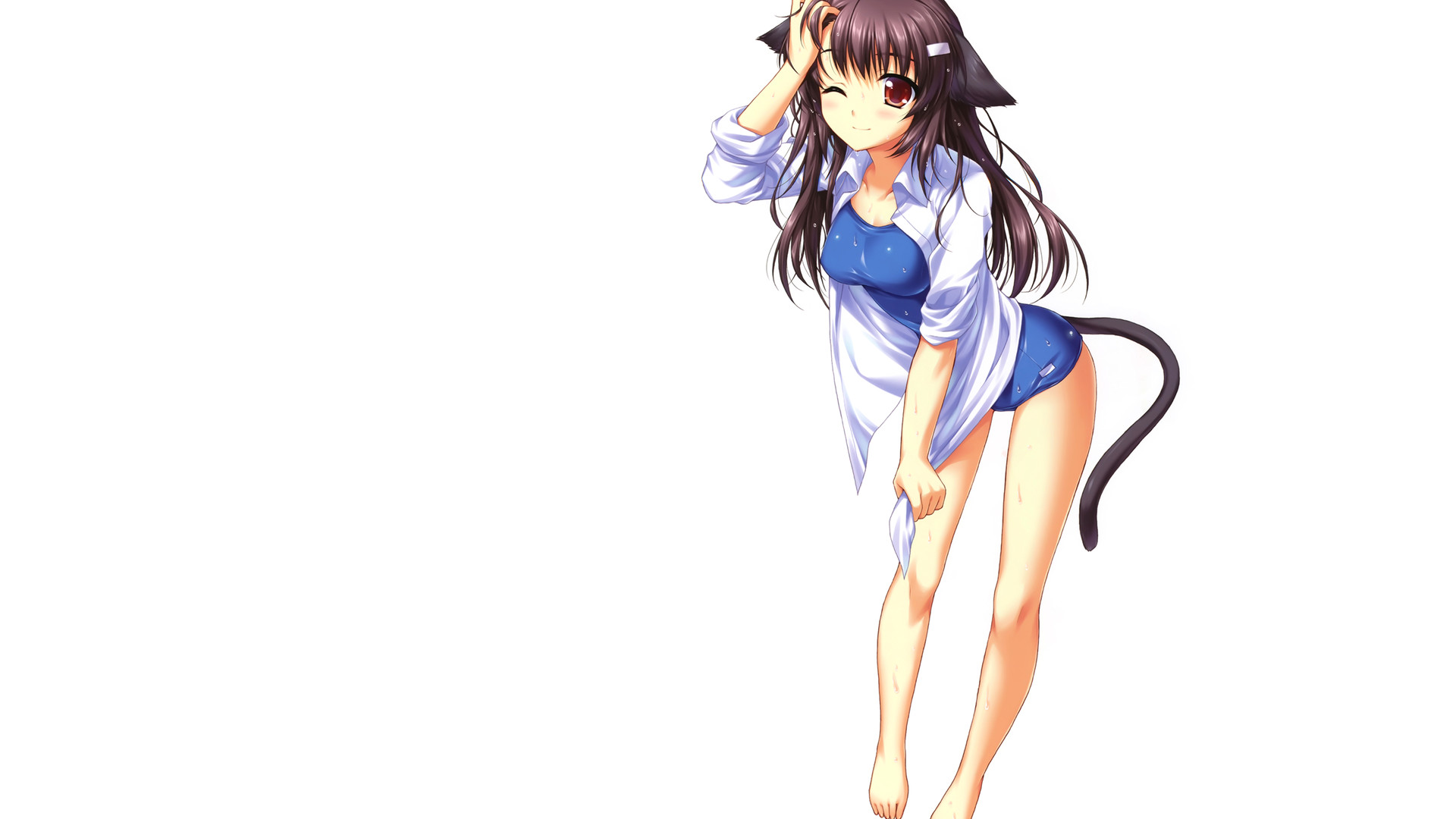 Anime Anime Girl Cat Wallpaper WallDevil