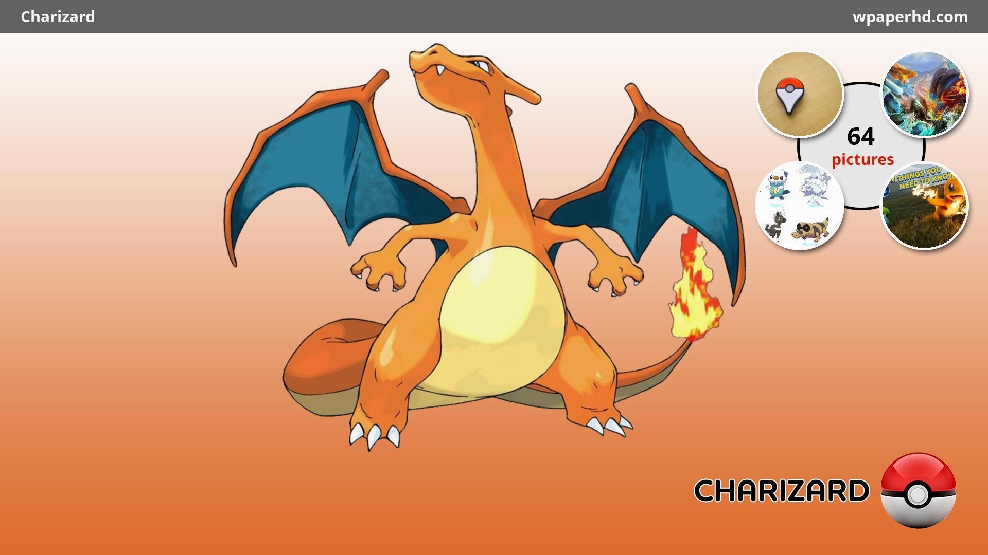 Pokemon Mega Charizard X 1920C397 Charizard