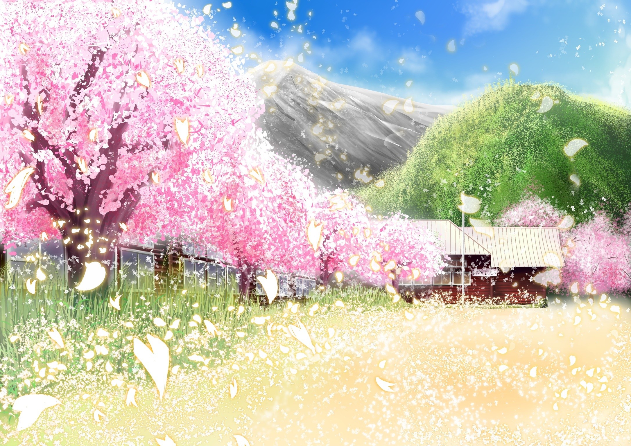 Original building cherry blossoms grass landscape original petals scenic sylphidehachioji tree wallpaper 97737 WallpaperUP