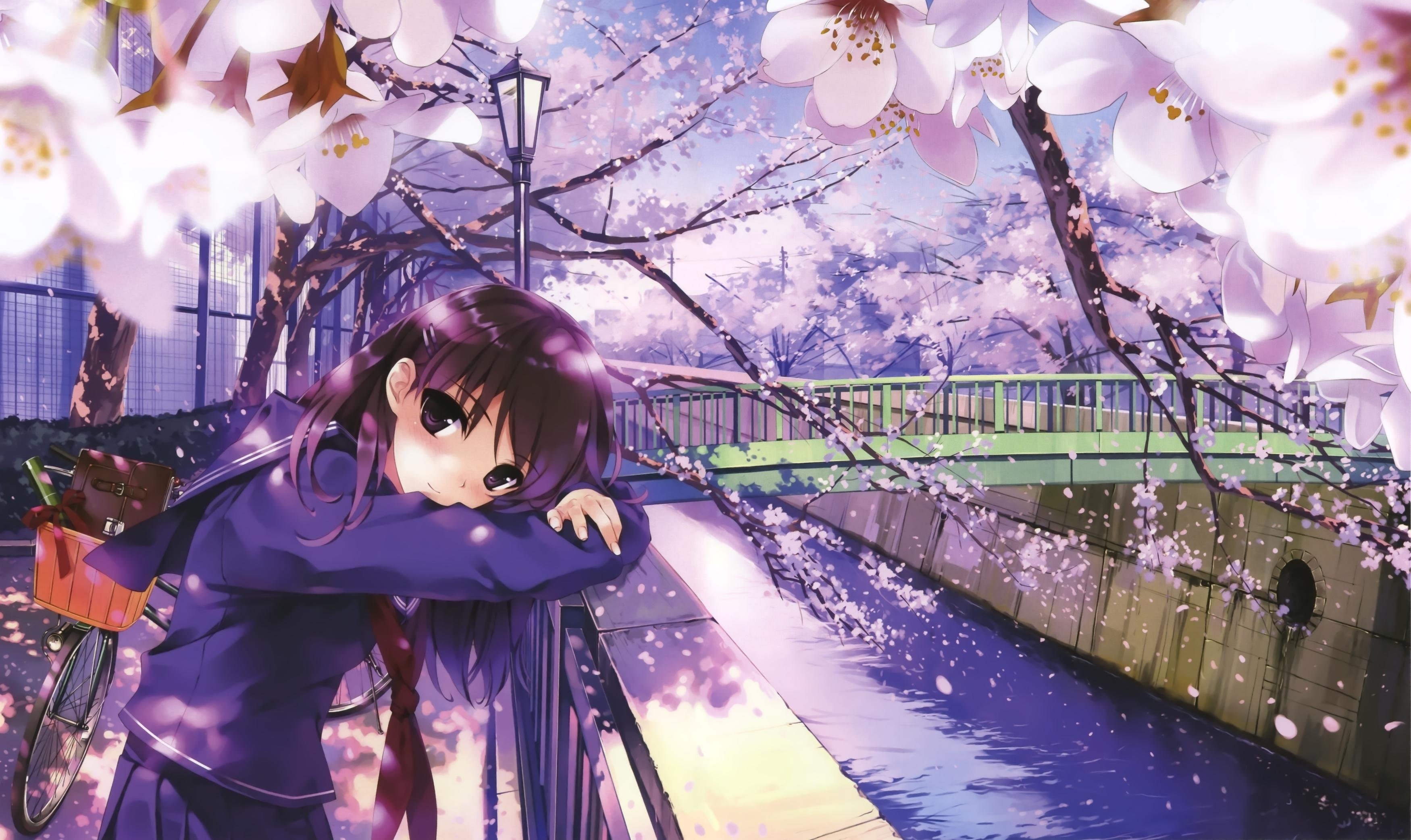 Anime Girls Bike Bridges Cherry Blossom