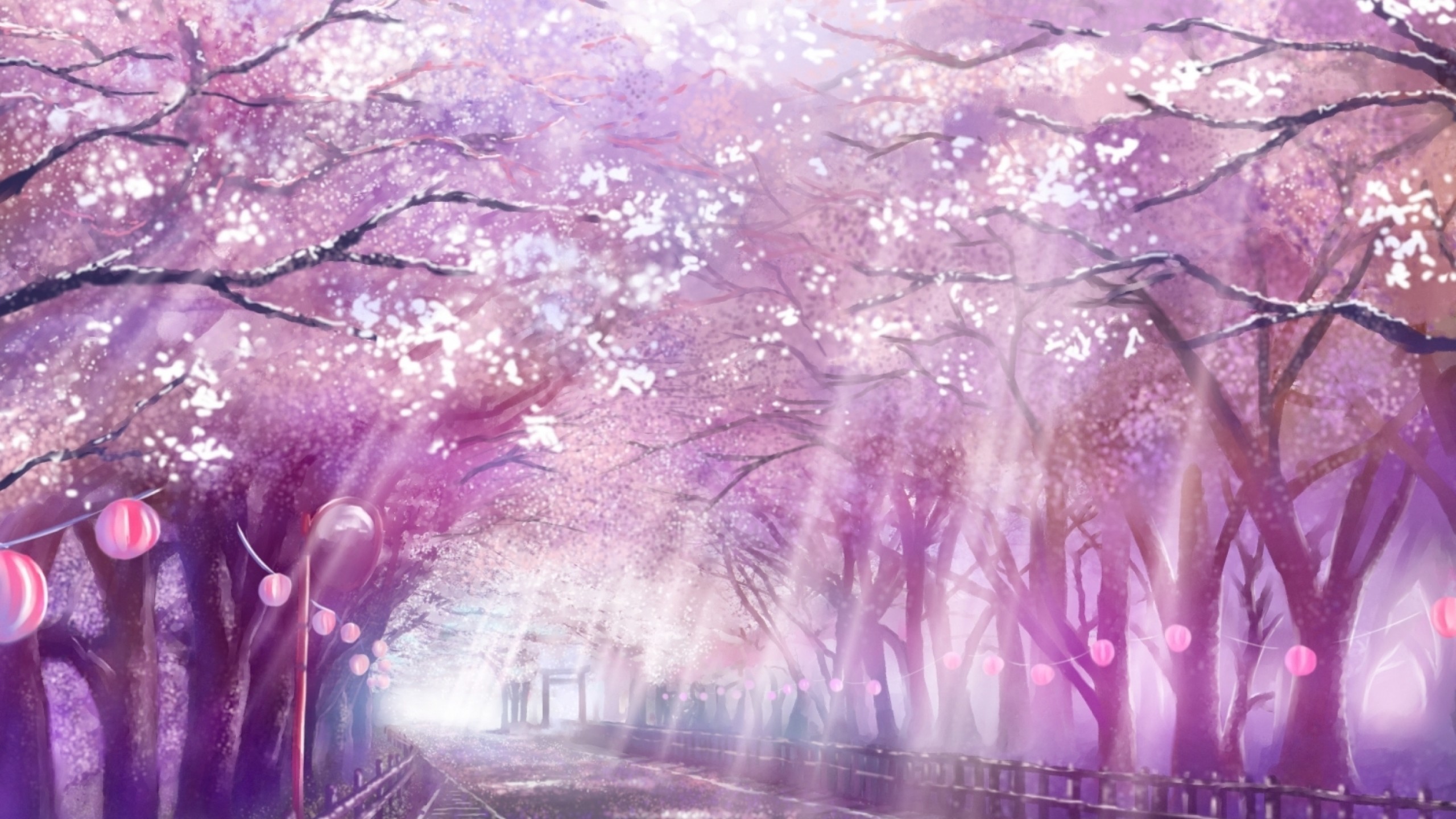 Anime Landscape, Scenic, Sakura Blossom, Cherry, Path, Sunlight
