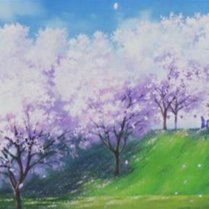 Flower wallpapers