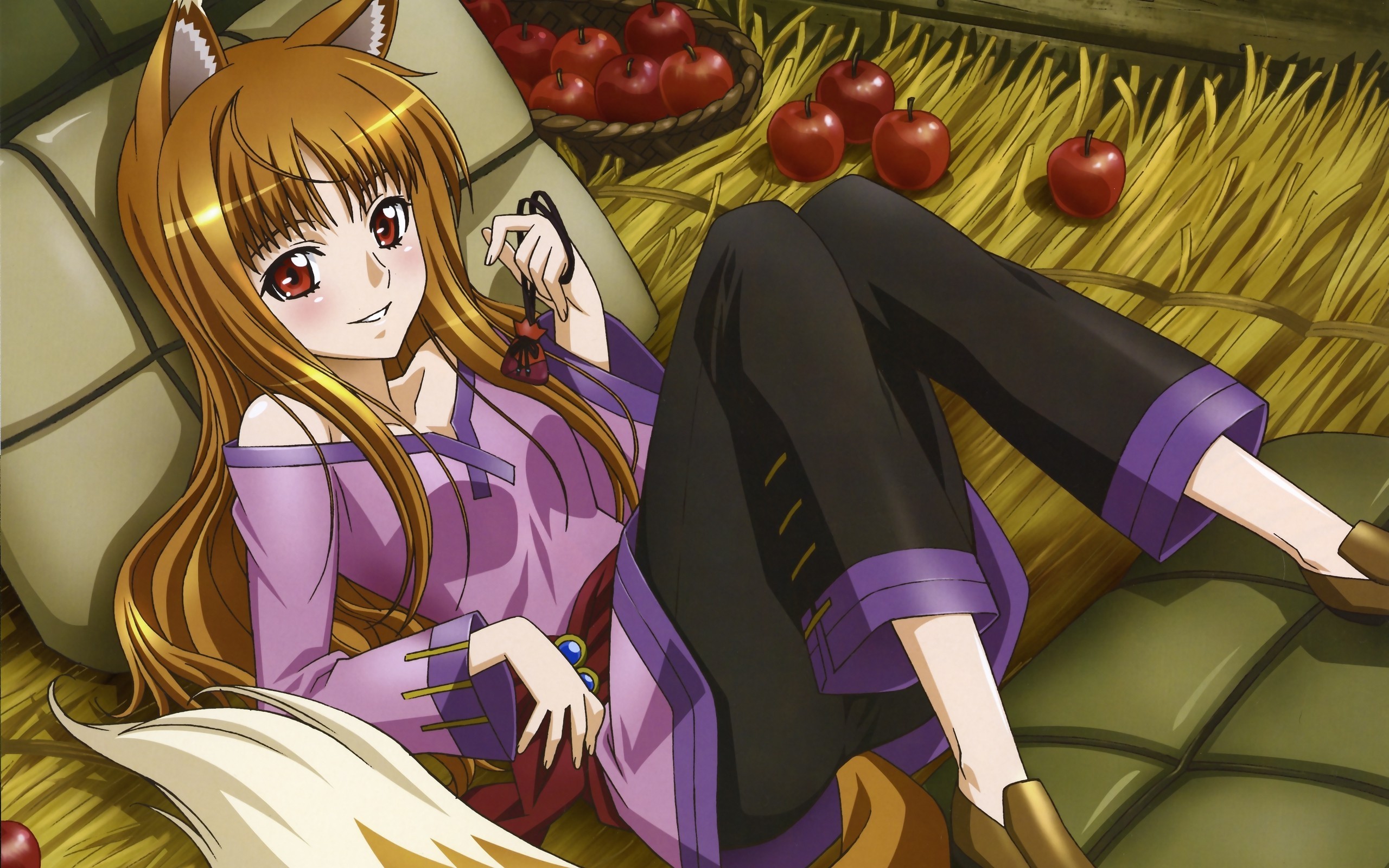 … Spice and Wolf HD Wallpaper 2560×1600