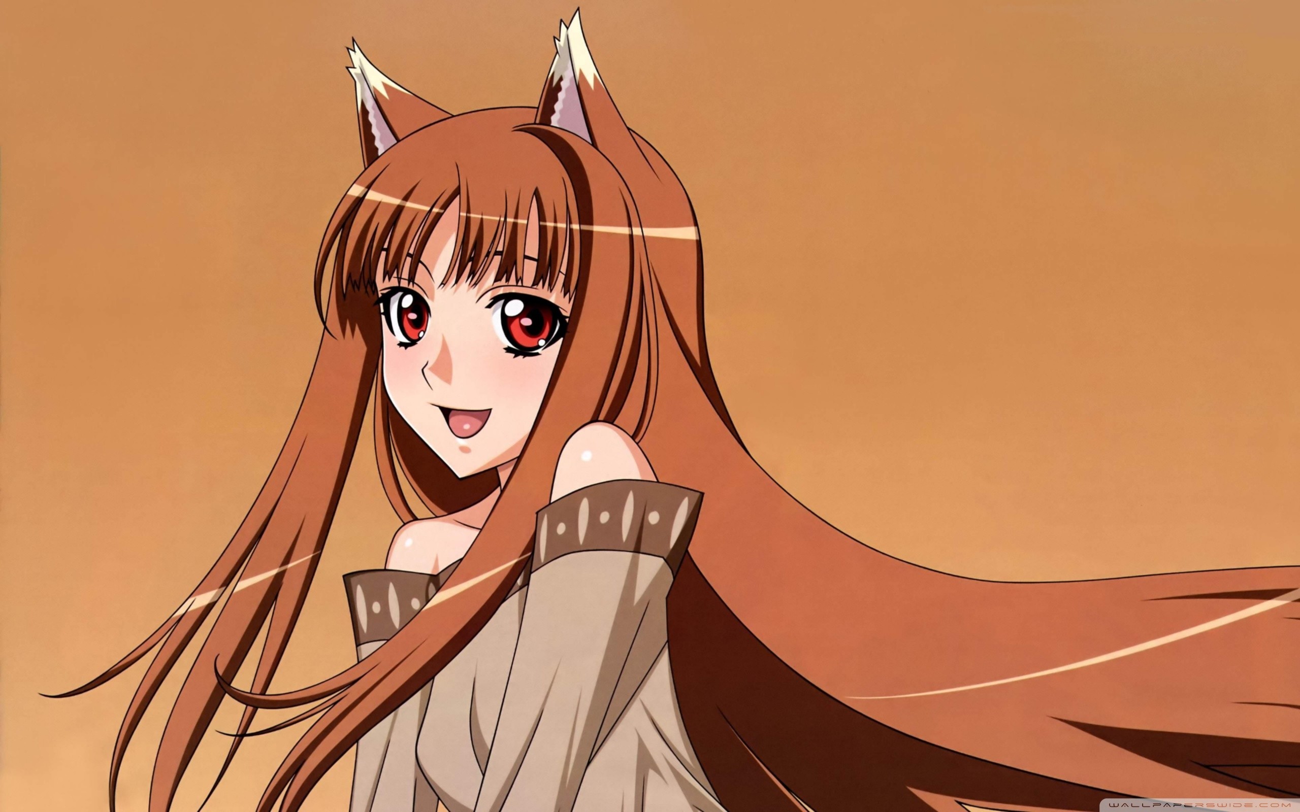 Spice And Wolf 6833576