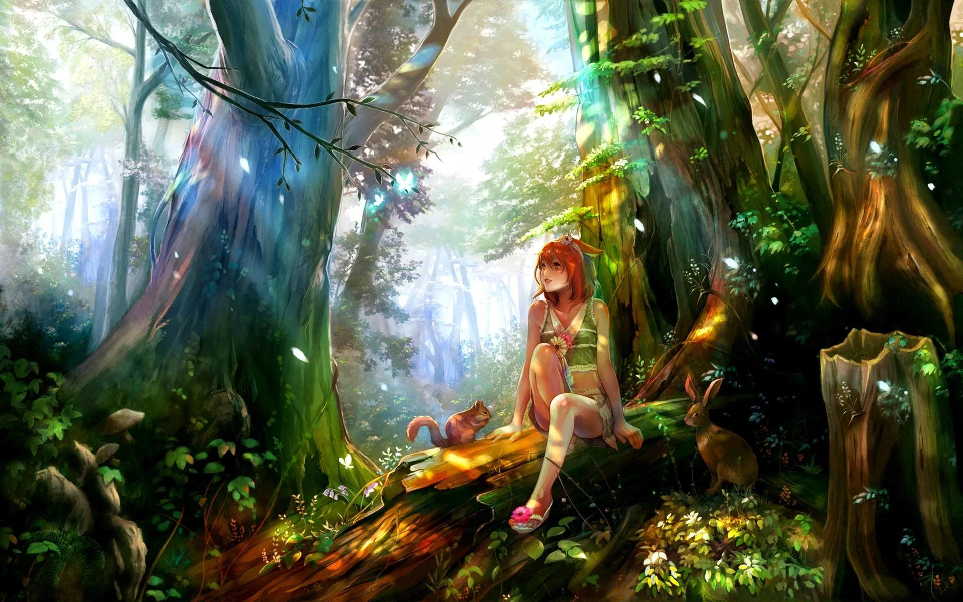 Images For > Anime Forest