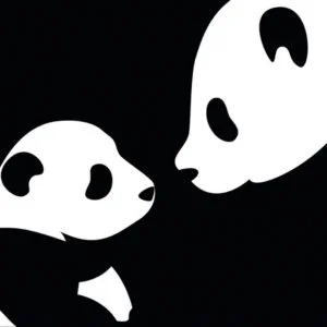 Anime Panda