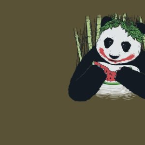 Anime Panda
