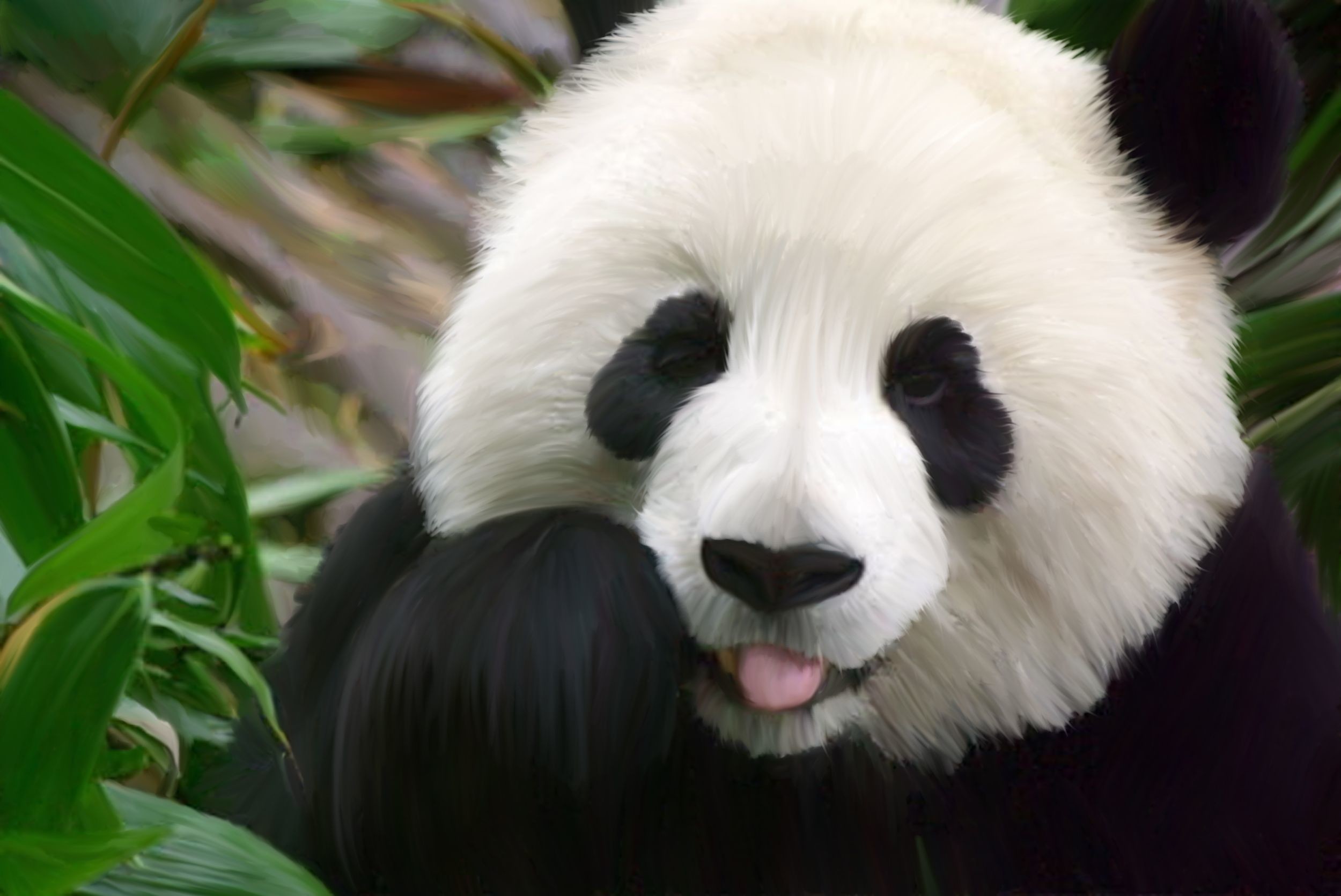 Phone wallpaper Adorable panda