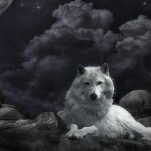 Cool Anime Wolf