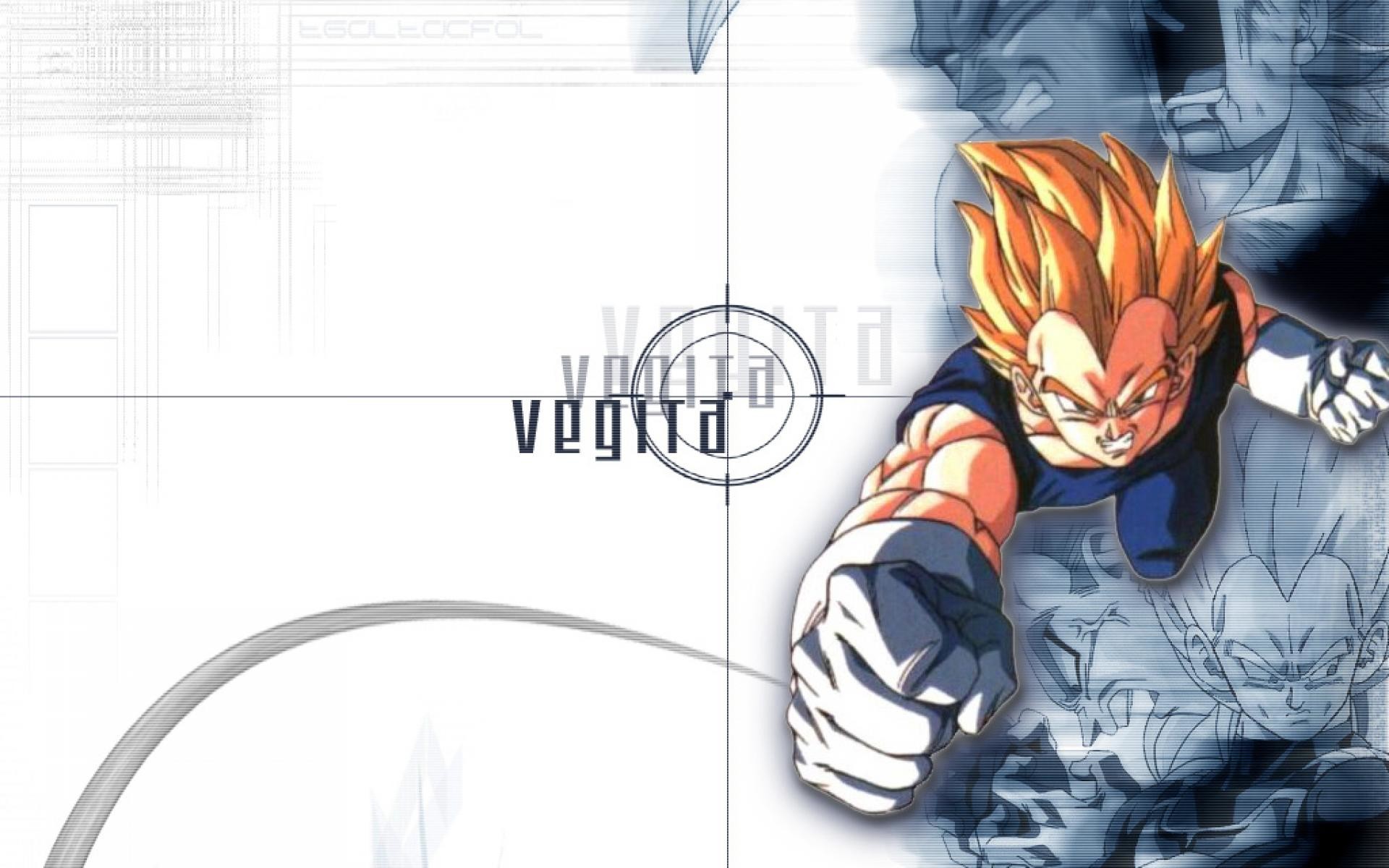 Dragon Ball Z Vegeta Wallpaper