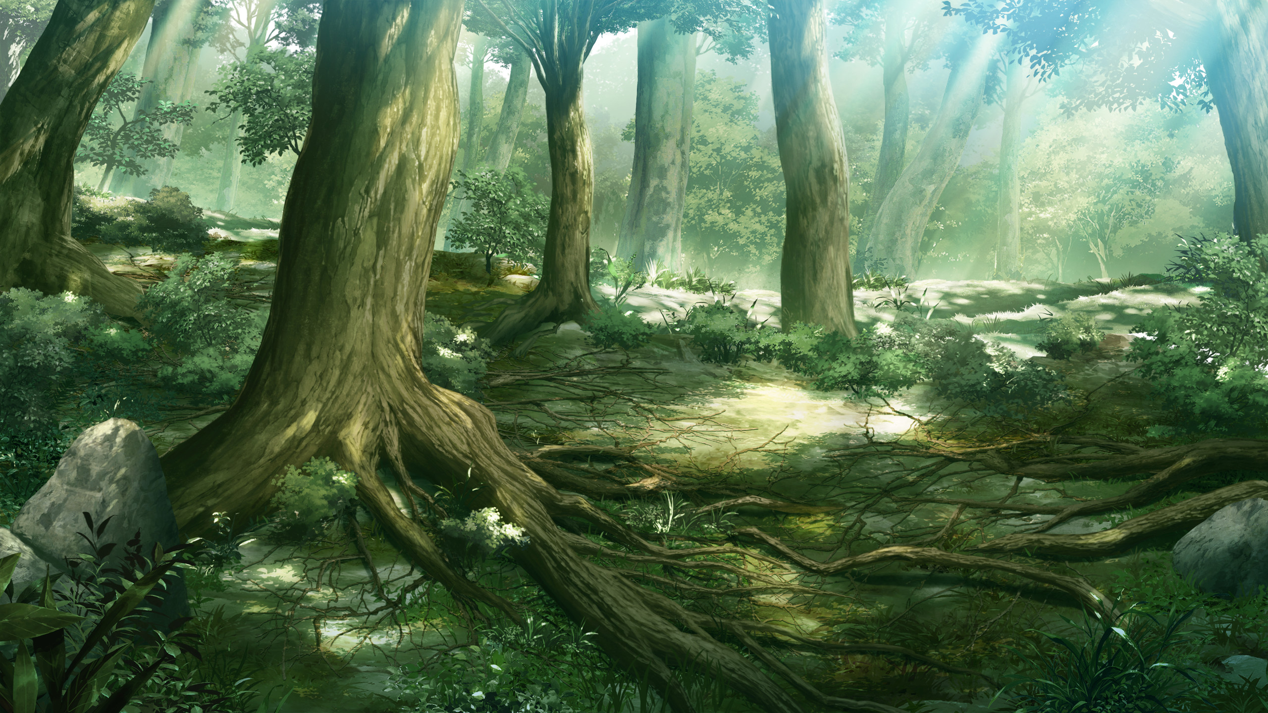 Anime Forest Scenery Wallpaper 7990