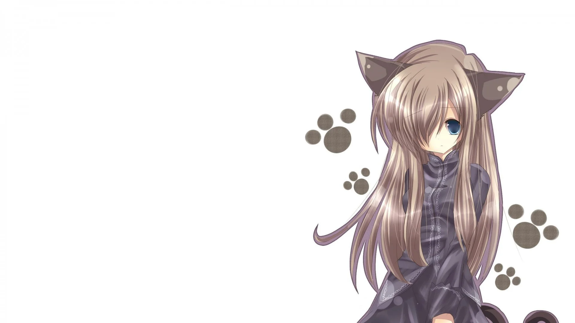 Wallpaper cat girl, nekomimi, art, anime, girl