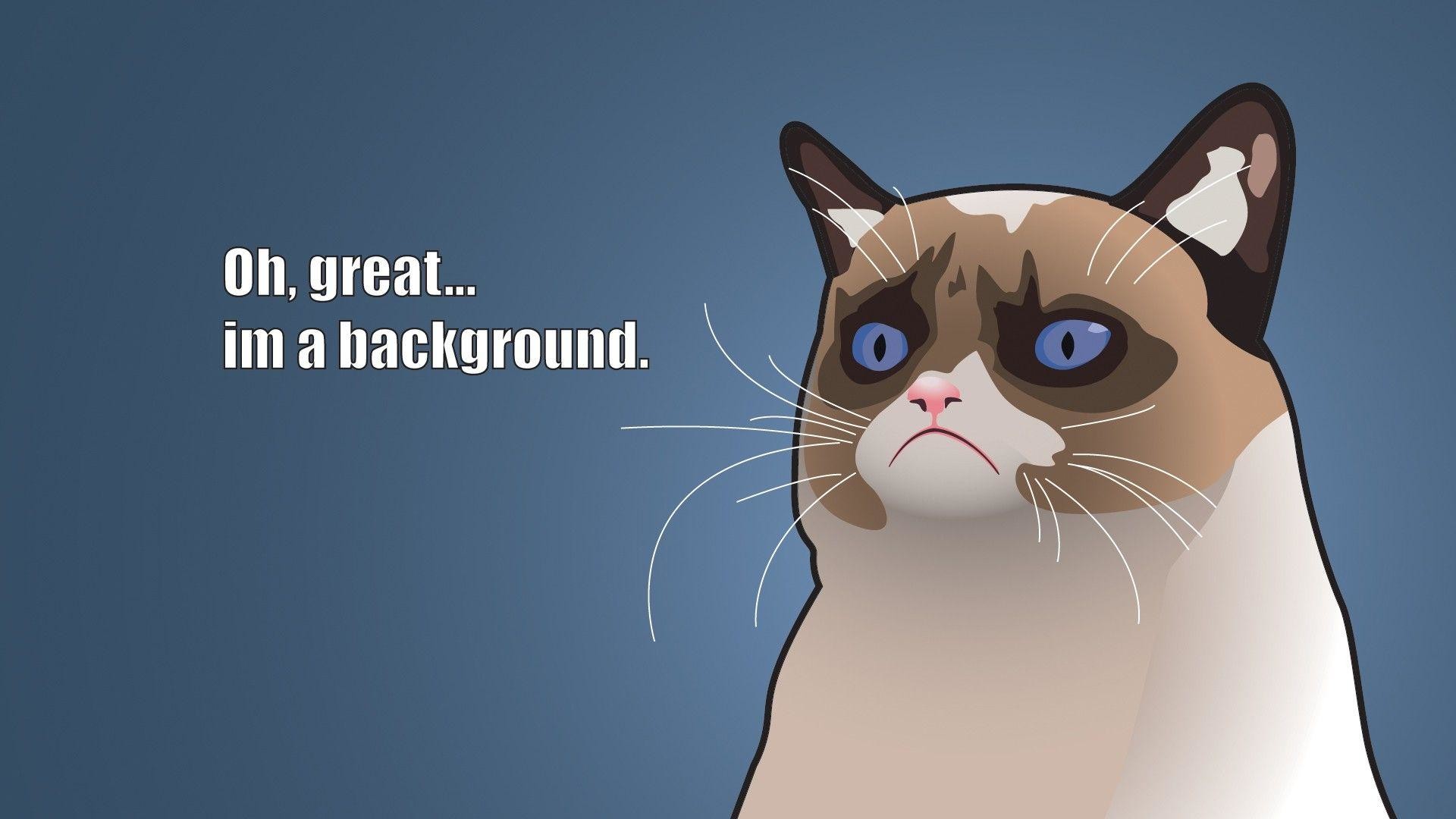 Cartoon cat wallpaper – Funny Trends – Funny Trends
