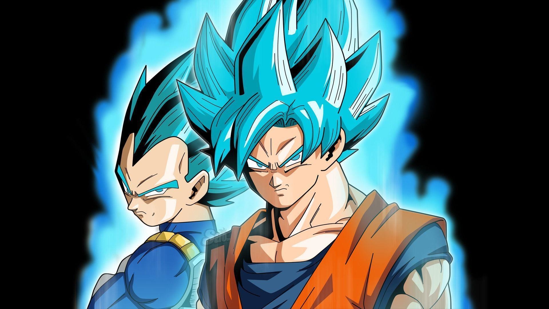 Goku and Vegeta Super Saiyan Blue DB… Wallpaper #6616
