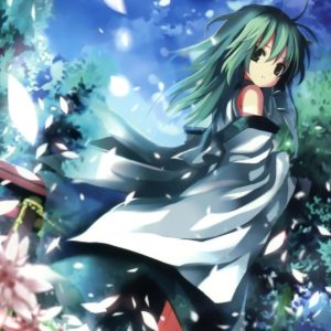 Anime Neko