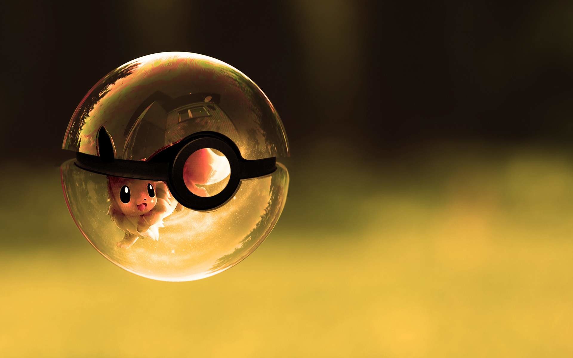 Pokemon Eevee Wallpaper 57781 Wallpaper wallpicsize