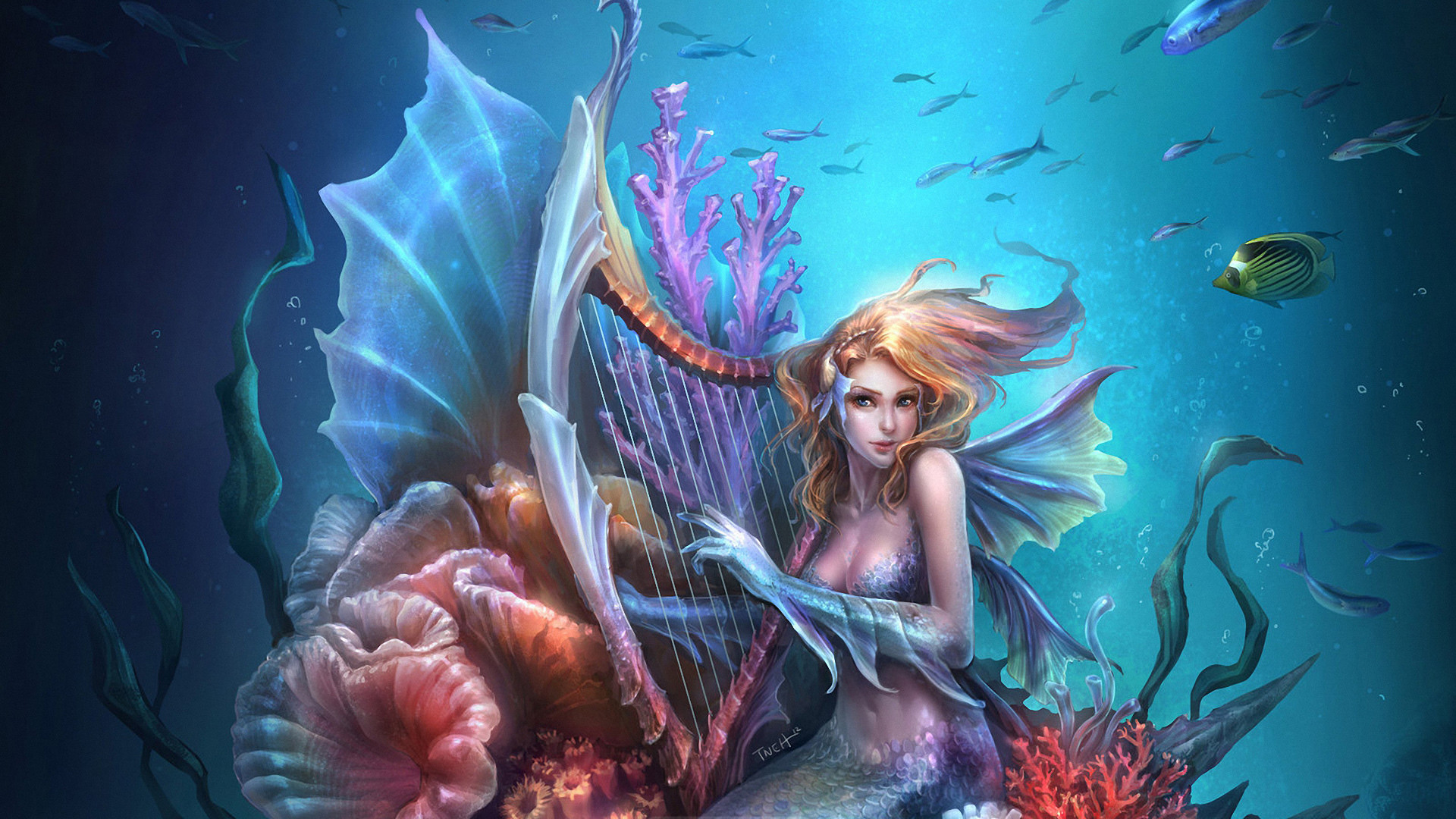 Fantasy – Mermaid Wallpapers and Backgrounds ID 341002
