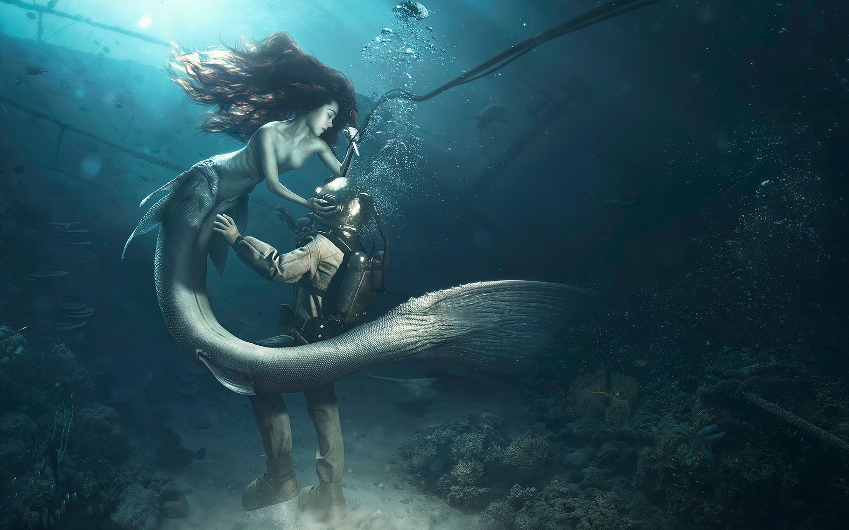 Diver and The Mermaid 2048×1152 Resolution