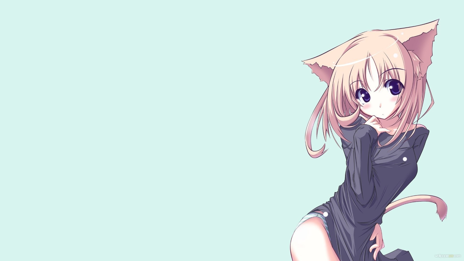 Anime Girl And Cat HD Wide Wallpaper for Widescreen 73 Wallpapers