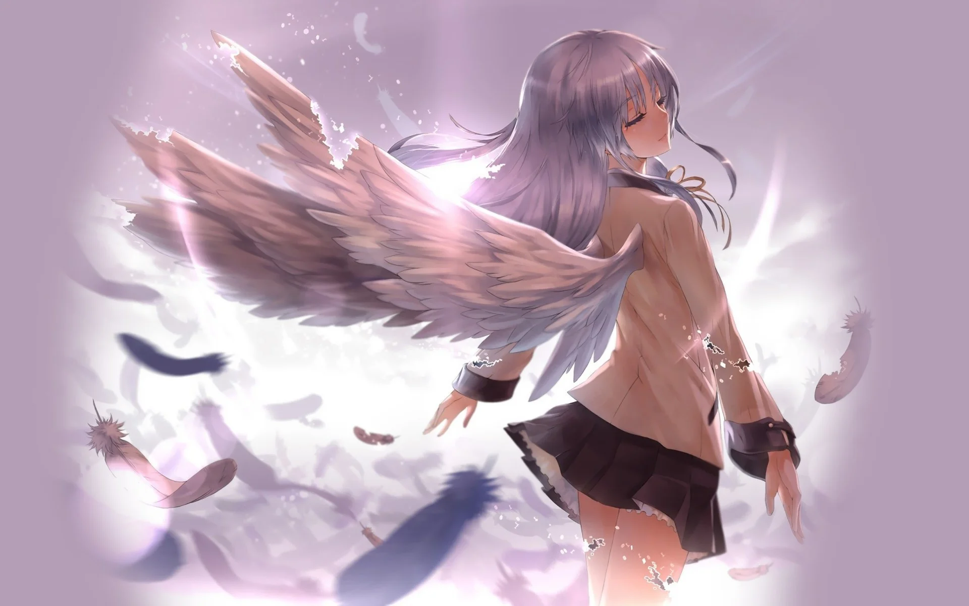 Anime Â· Angel wing anime dreaming wallpaper …