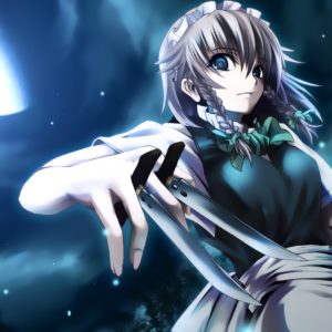 Anime Assassin