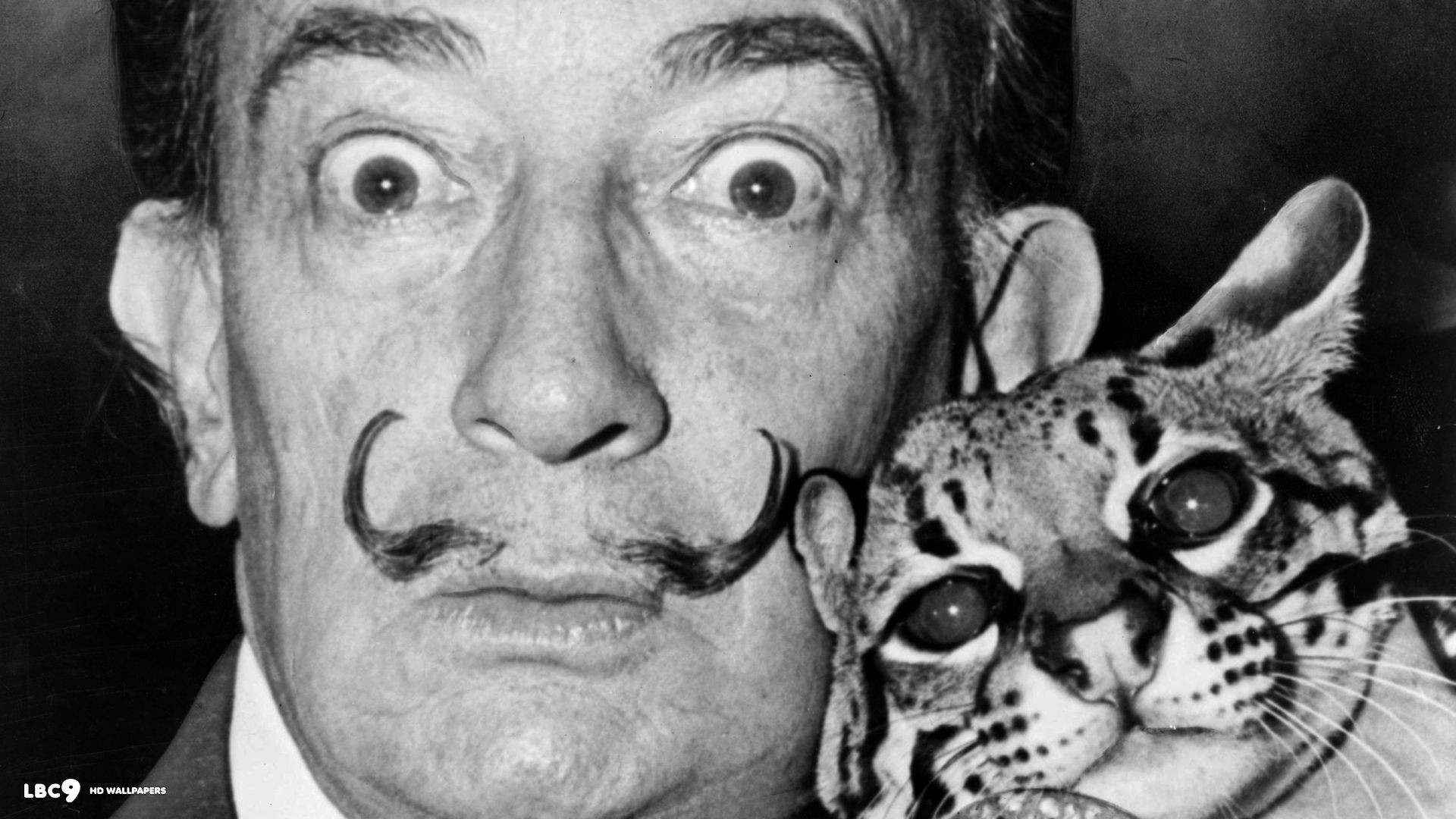 Salvador dali holding his pet ocelot